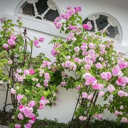 Tatil Evi Haus-Maja *